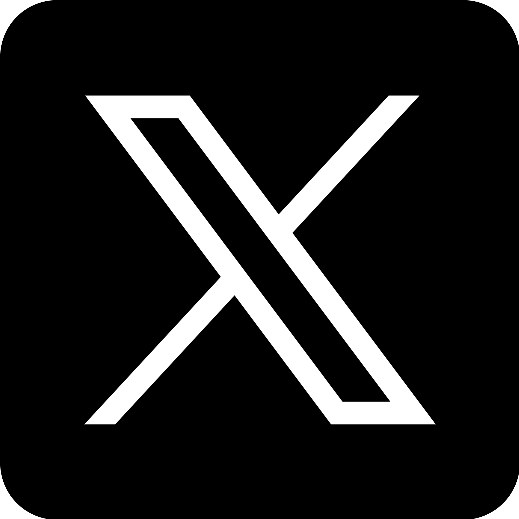 Logo X